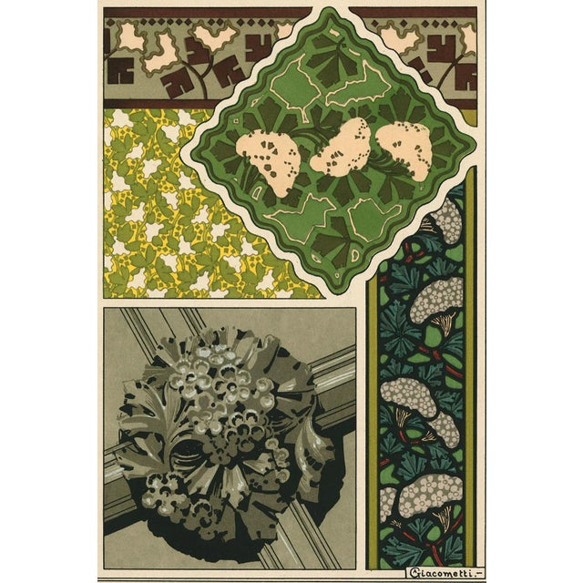 White-Thorn. Art Nouveau style pochoir illustrated by Augusto Giacometti from the 1896 publication, La Plante et Ses...