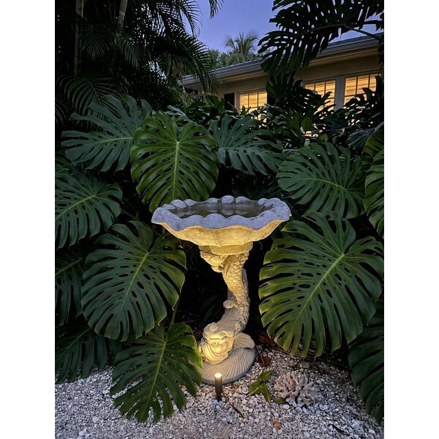 Vintage Scalloped Cast Stone Dolphin Birdbath For Sale - Image 9 of 11