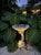 Vintage Scalloped Cast Stone Dolphin Birdbath For Sale - Image 9 of 11