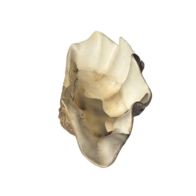 Large Faux Giant Clam Shell Centerpiece Bowl For Sale - Image 11 of 16
