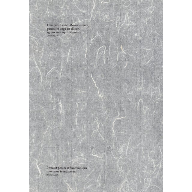 1960s 1967 Salvador Dalí Biblia Sacra Lithograph "De Petra Exivit Aqua" (Out of Rock Came Water) For Sale - Image 5 of 11