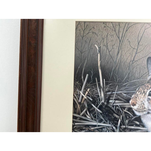 Charles Fracé “My Friend – Eastern Cottontail” Limited Edition Wildlife Print For Sale - Image 11 of 14