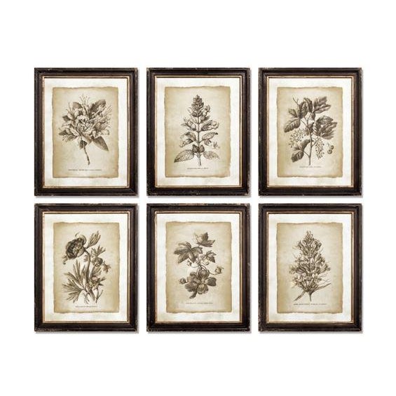 Farmhouse Kenneth Ludwig Chicago Framed Vintage Floral Prints - Set of 6 For Sale - Image 3 of 3