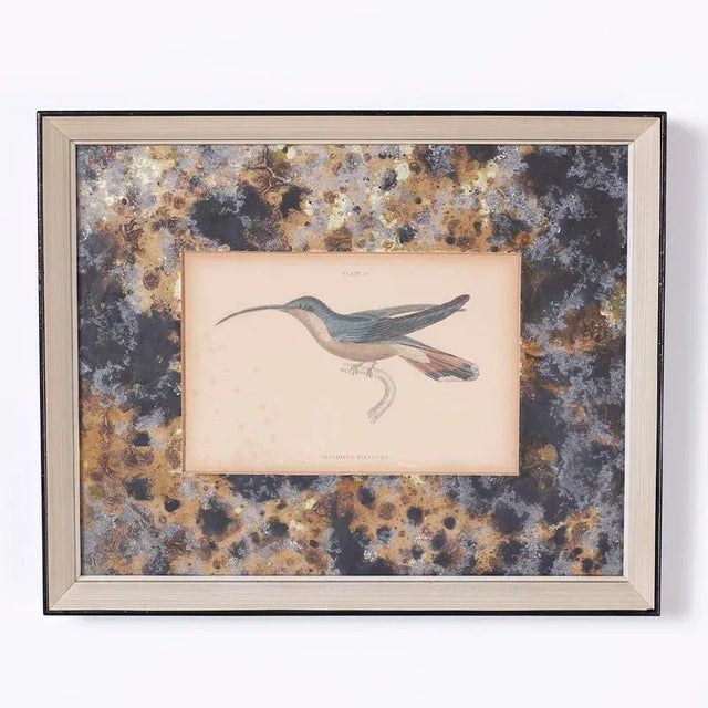 Blue Framed Hand Colored Humming Bird Prints - Set of 4 For Sale - Image 8 of 10