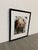 Design Plus Gallery presents a Framed “Trombone Shorty, James Andrews” Photograph by Elsa Hahne. Dated 2010, this archival...