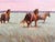 Gray Iceland Horses Landscape Original Painting on Canvas by Valeriya Serova For Sale - Image 8 of 9