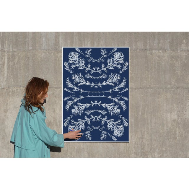 This is an exclusive handprinted limited edition cyanotype. Details: + Title: Vintage Pressed Flowers nº2 + Year: 2020 +...