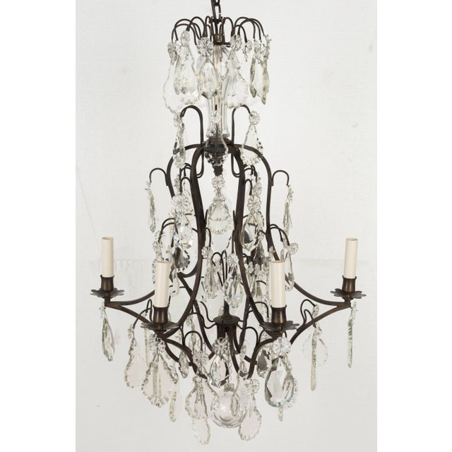 French Louis XV Style Crystal Chandelier For Sale - Image 11 of 13