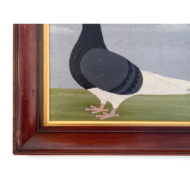 Early 21st Century Matt Rix, Naïve Style Racing Pigeon, Oil Painting, Framed For Sale - Image 5 of 12