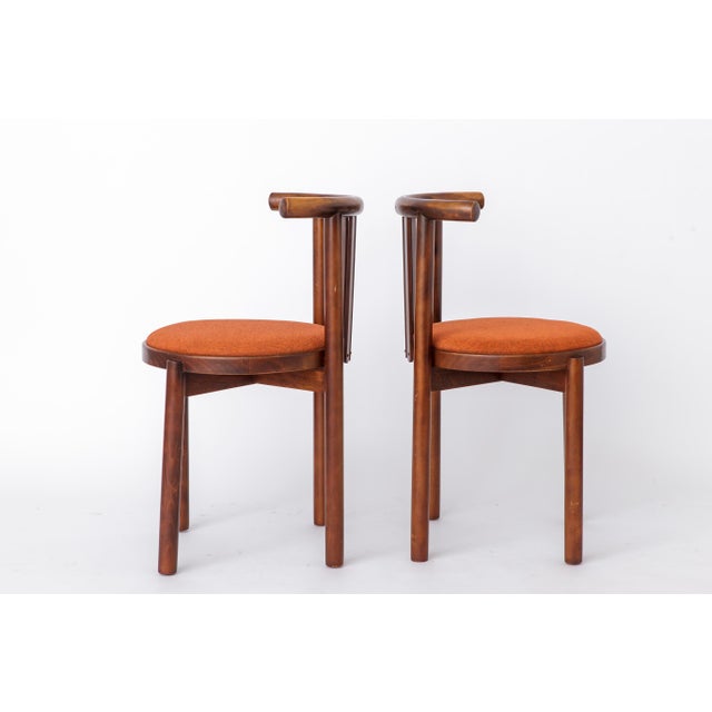 1960s Vintage Bentwood Chairs, 1960s, Set of 5 For Sale - Image 5 of 13