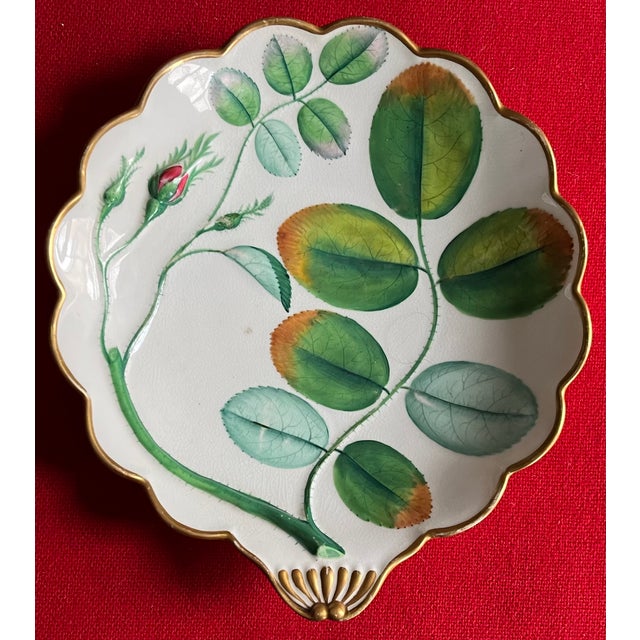 Antique 19th Century English Worcester Porcelain Blind Earl Serving Dish For Sale - Image 9 of 12