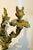 Bronze Antique French 19th Century Louis XV Gilt Bronze Two Light Wall Sconces - a Pair For Sale - Image 8 of 18