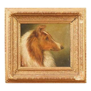 Antique 19th Century Portrait of a Collie For Sale