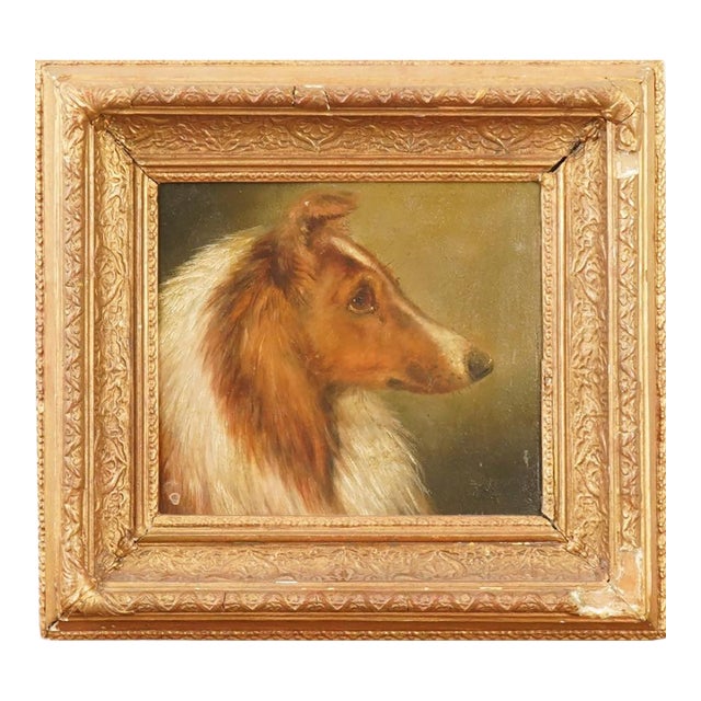 Antique 19th Century Portrait of a Collie For Sale