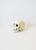 White Skull in White Plaster For Sale - Image 8 of 13