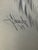 1940s 1940s Original Signed Graphite Illustration of Collie Dog Portrait, 11.75 × 8.75 In. For Sale - Image 5 of 6