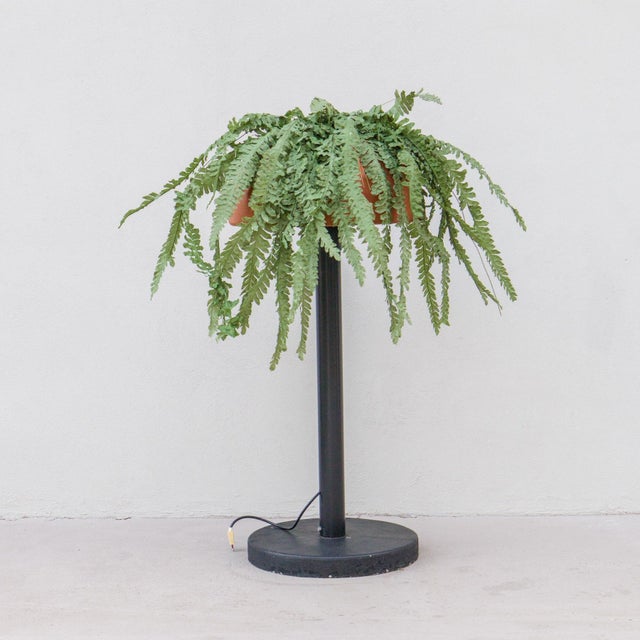 Orca Virtuosa Floor Lamp by Örni Halloween for Artemide, 1976 For Sale - Image 14 of 14