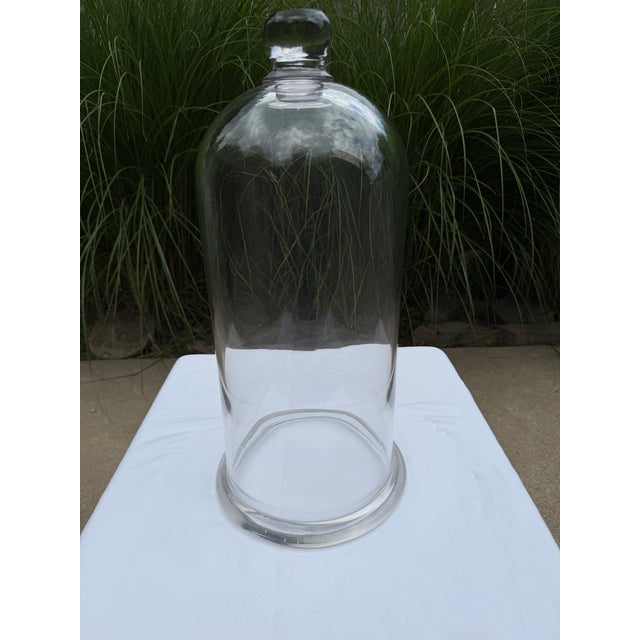 Early 20th Century Glass Cloche For Sale - Image 6 of 8