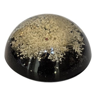 Mid-20th Century Signed William Rolfe Botanical Resin Paperweight For Sale