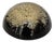 Mid-20th Century Signed William Rolfe Botanical Resin Paperweight For Sale