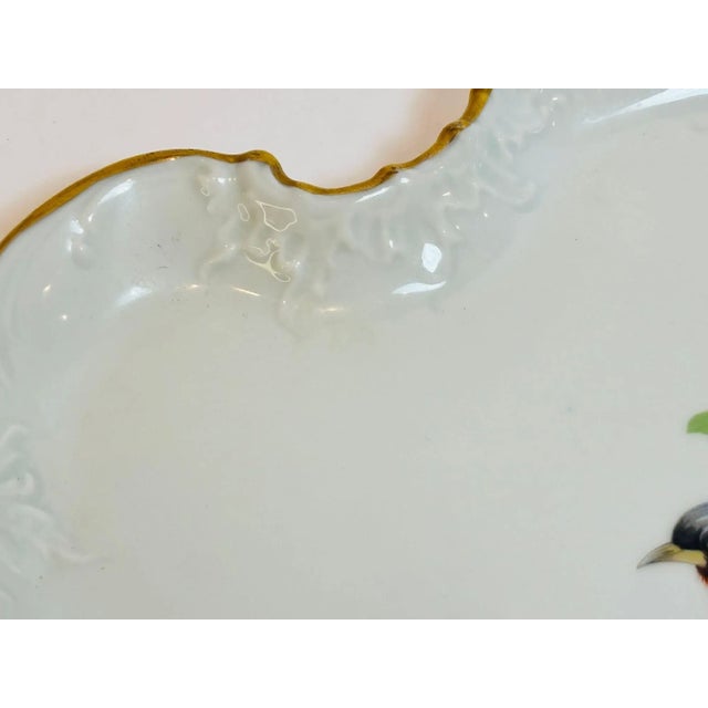 Vintage Limoges France Porcelain Plate Hand-Painted With Bird Decor Collectible For Sale In Palm Springs - Image 6 of 10