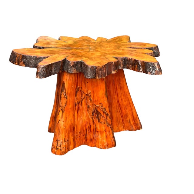 Beautiful Vintage Cypress Live Edge Tree Stump Center Coffee Table For Sale - Image 9 of 15