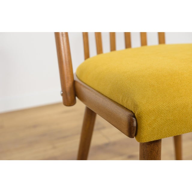 Dining Chairs by Antonín Šuman for Ton, 1960s, Set of 4 For Sale - Image 18 of 18