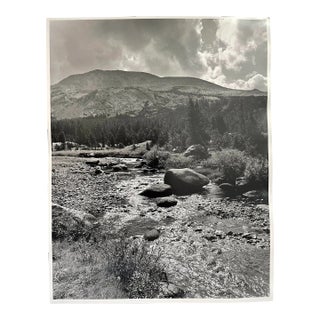 Vintage Americana Black and White Photograph of California Landscape For Sale