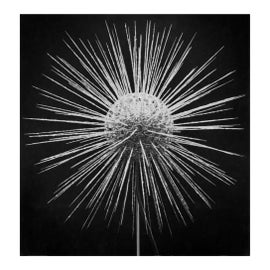 Example of Photography