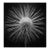 Clathrulina Elegans' Unframed Archival Pigment Print For Sale