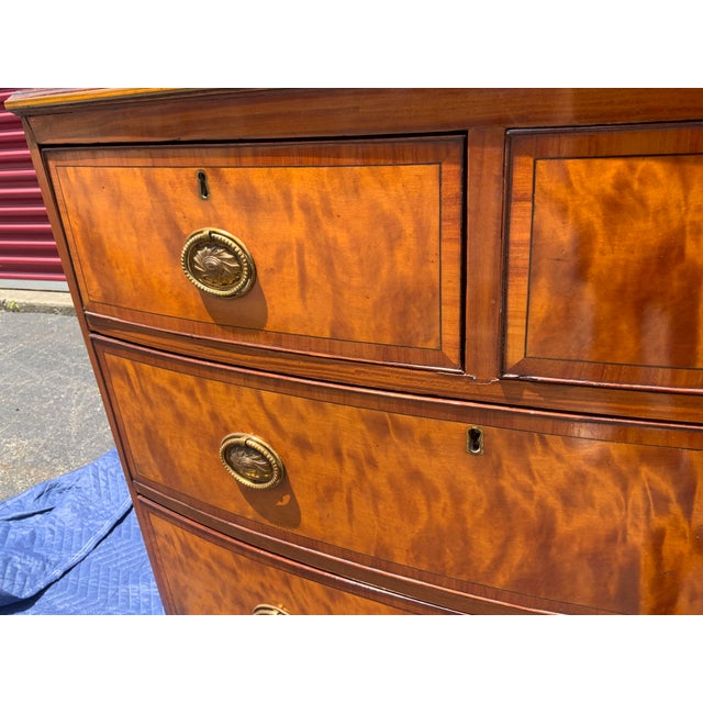 Mid 19th Century Georgian Satinwood Bow Front Chest For Sale - Image 4 of 13