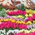 Cerulean Blooming Valley & Snow Peak - Hand-Embroidered Wall Art For Sale - Image 8 of 14