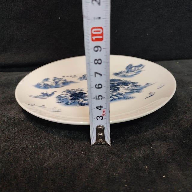 Early 20th Century Chinese Ceramic Plate,Qianlong Marked Blue and White Porcelain Plate Hand Painted Landscape Pattern For Sale - Image 9 of 10