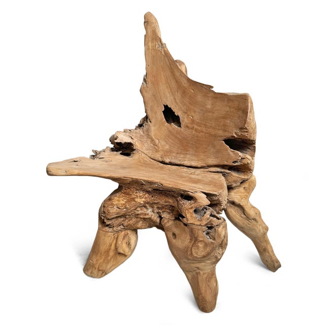 Early 21st Century Vintage Organic Modern Teak Root Chair For Sale - Image 5 of 6