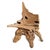 Early 21st Century Vintage Organic Modern Teak Root Chair For Sale - Image 5 of 6