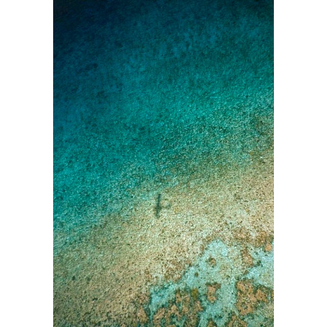 A Seaview In Nassau 1960 A seaview at the Lyford Club, Nassau, the Bahamas, 1960. Toni Frissell Antoinette Frissell Bacon...