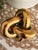 Contemporary sculptural gold knot decorative object featuring an organic hammered metallic finish. A versatile accent...