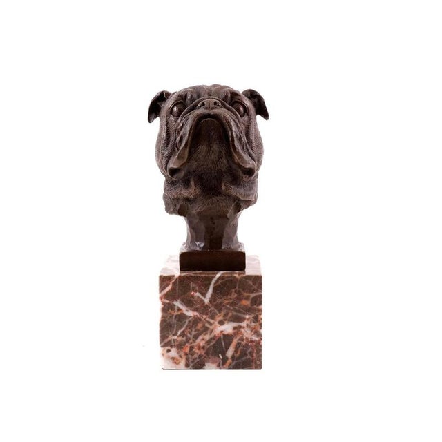French Bulldog Head Sculpture in Bronze, 20th Century For Sale - Image 9 of 10