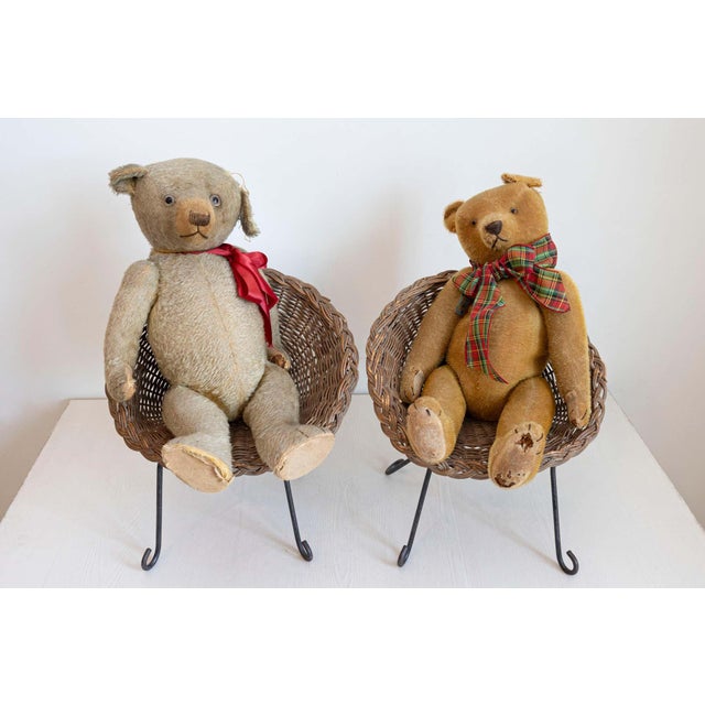 Two antique American teddy bears from the 20th century sitting in wicker chairs, priced and sold individually $495 each....
