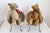 Two antique American teddy bears from the 20th century sitting in wicker chairs, priced and sold individually $495 each....