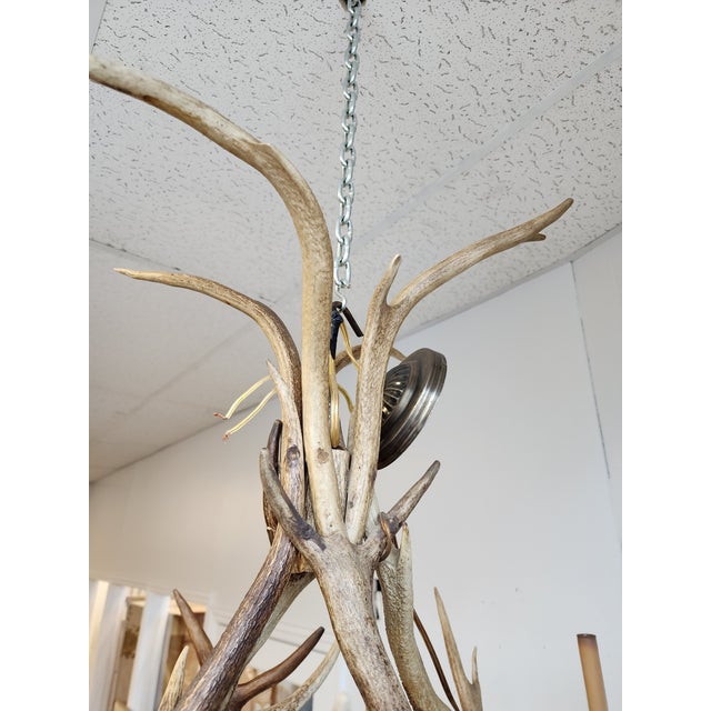 Antique Elk Antler Chandelier For Sale In New York - Image 6 of 13