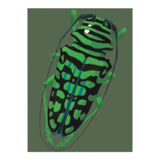 Bugs by Seguy #16 For Sale