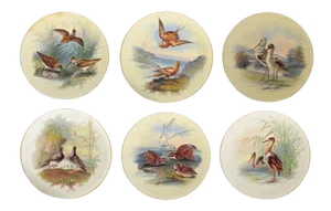 Thomas Minton Porcelain Bird Cabinet Plates Signed by William Mussil