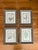 Wood Vintage Botanical Prints Framed Authentic 1910 Canadian Farm Weed Prints - Set of 4 For Sale - Image 7 of 7