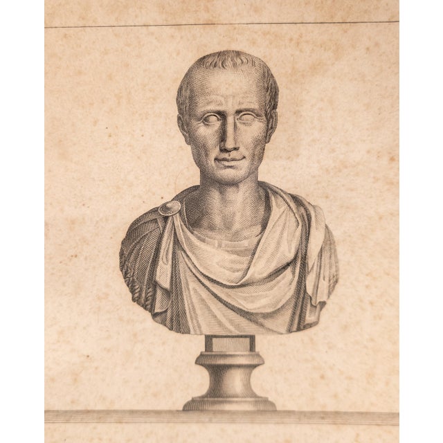 18th Century Italian Neo-Classical Engraving Print of Julius Caesar Bust by Giovanni Folo For Sale - Image 9 of 18