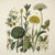 This fine art print reproduces a beautifully detailed 19th-century botanical illustration depicting an elegant arrangement...
