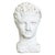 Paint English 20th Century Stone Bust of a Greco-Roman Youth For Sale - Image 7 of 7