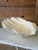 Organic Modern Coastal Clam Shell Vessel For Sale - Image 4 of 11