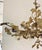 Modern Made Goods Modern Brass Ginkgo Teresa Chandelier For Sale - Image 3 of 6
