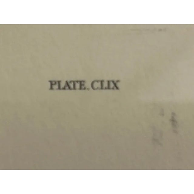 Vintage Audubon Society Cardinal & Grosbeak Framed Print - 24x29 Bird Art For Sale - Image 11 of 12